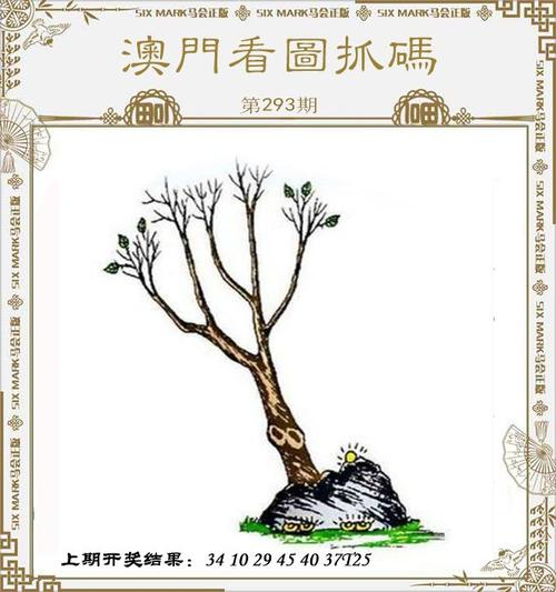 admin 第633页
