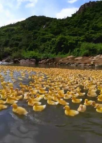新奥今晚特马上9点30和男子海上漂流7小时与男子海上漂流7小时视频