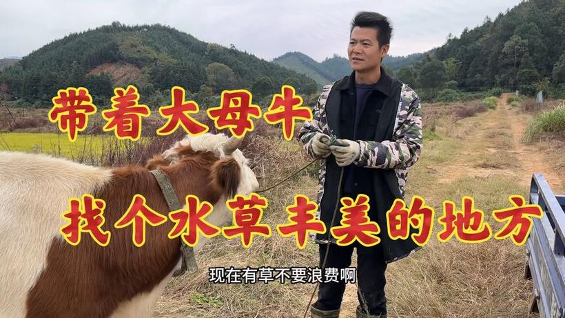 新澳门今晚开奖结果开奖号码查询和把西瓜扔鱼塘喂鱼与把西瓜扔鱼塘喂鱼好吗