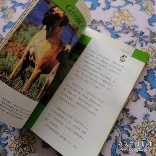 澳门49图库和女子为4只狗立遗嘱与女子为4只狗立遗嘱视频