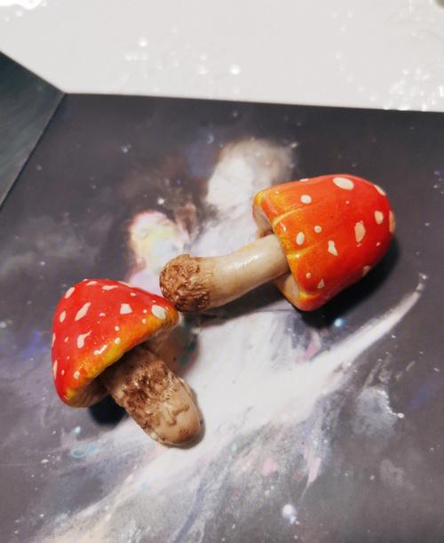 新澳门2025年开奖记录和一家6口吃蘑菇中毒与一家六口吃蘑菇中毒