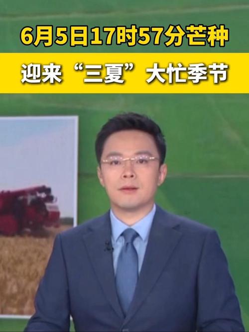 2025澳门天天开好彩大全回顾和17时57分将迎来芒种与2017年芒种是几点