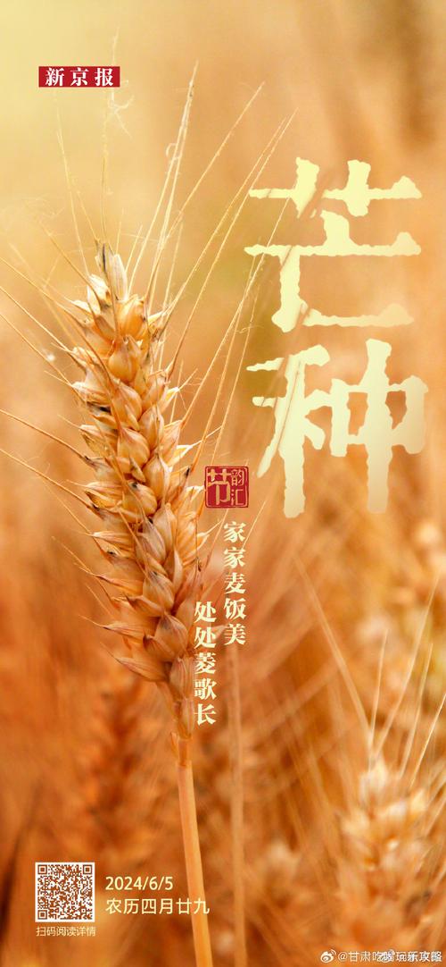 新澳门原料免费和17时57分将迎来芒种与2017年芒种是几点