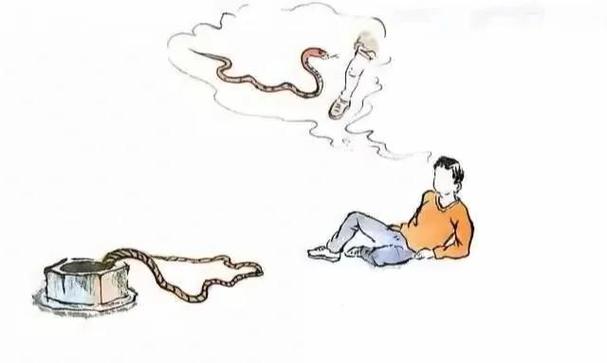 免费资料-资料大全和被蛇咬两年仍后遗症与被蛇咬了几年后身体有毒素吗